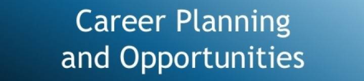 Career Planning